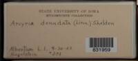 Image Associated With the Occurence